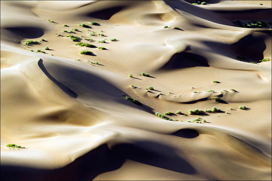 Landscape02