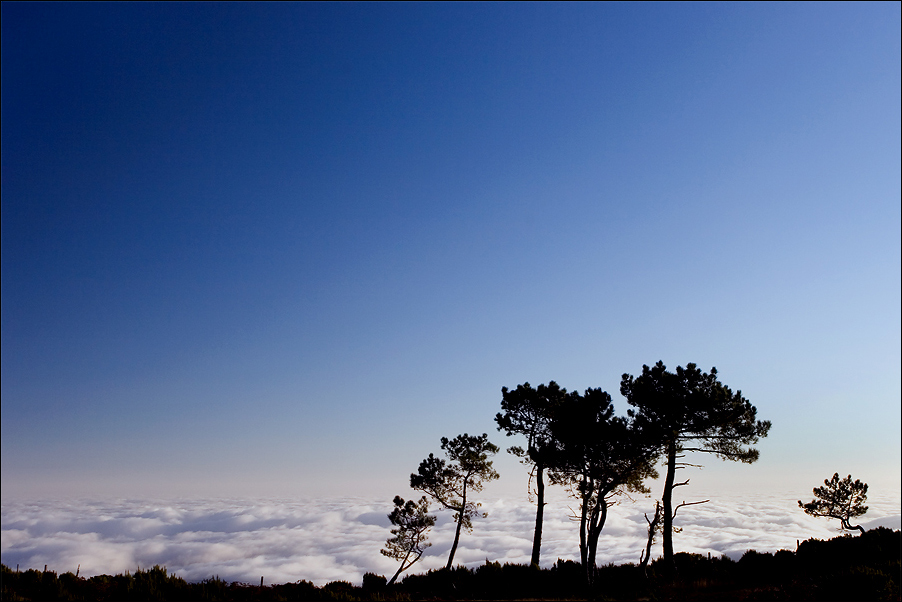 Landscape13