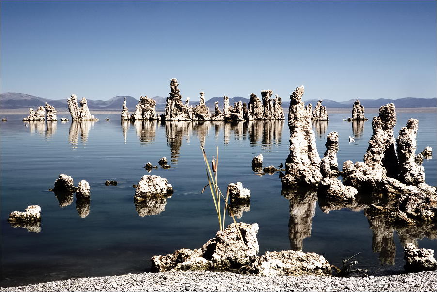 Landscape17